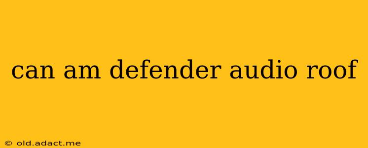 can am defender audio roof