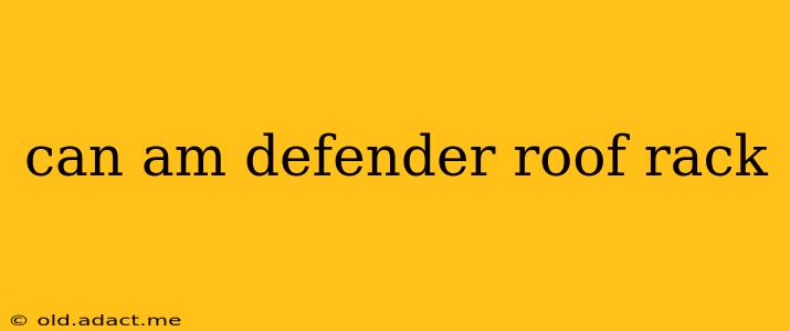 can am defender roof rack