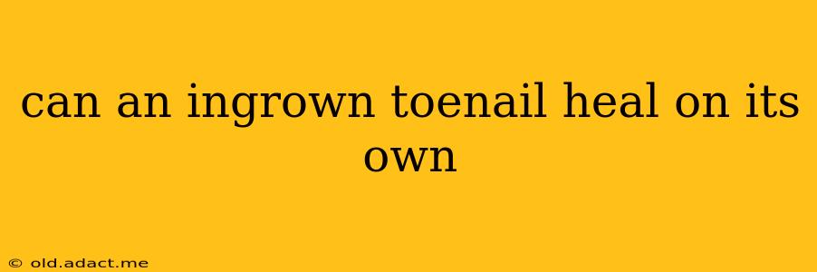 can an ingrown toenail heal on its own
