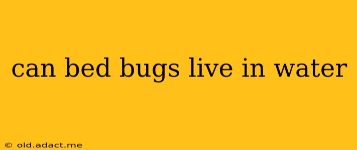 can bed bugs live in water