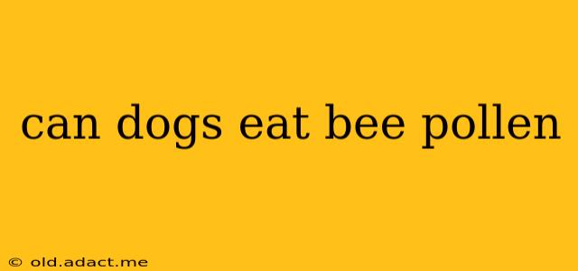 can dogs eat bee pollen