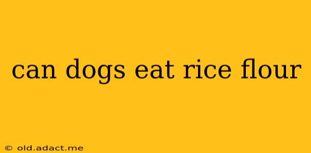 can dogs eat rice flour