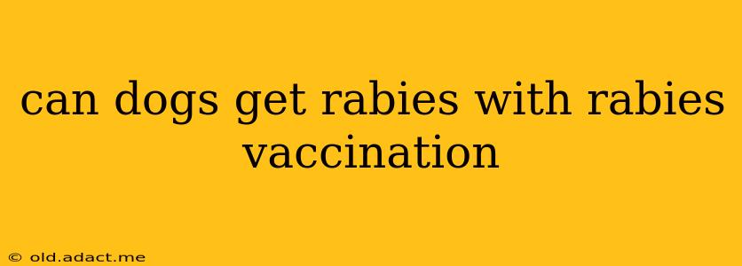 can dogs get rabies with rabies vaccination