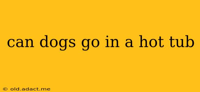 can dogs go in a hot tub