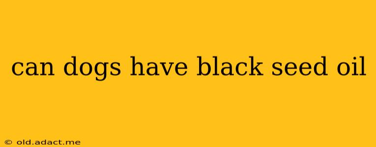 can dogs have black seed oil