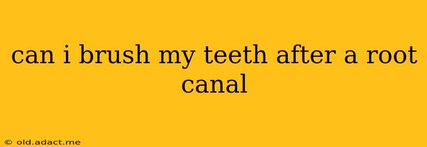 can i brush my teeth after a root canal