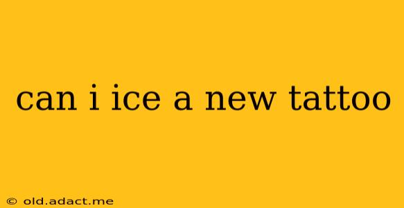 can i ice a new tattoo