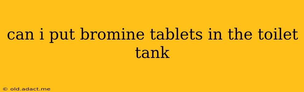 can i put bromine tablets in the toilet tank