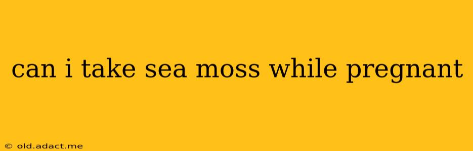 can i take sea moss while pregnant
