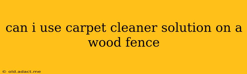 can i use carpet cleaner solution on a wood fence