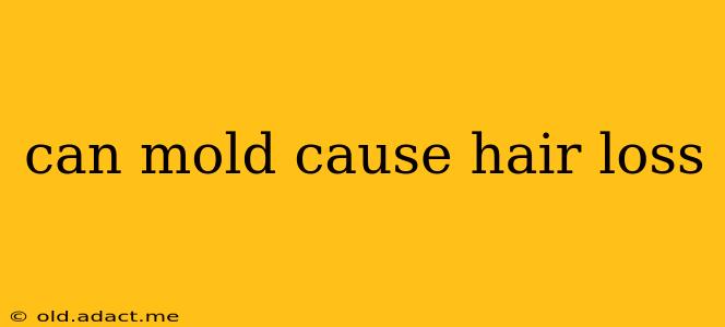 can mold cause hair loss