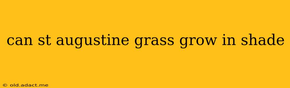 can st augustine grass grow in shade