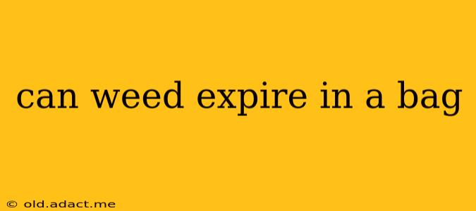can weed expire in a bag