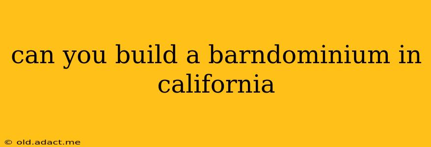 can you build a barndominium in california