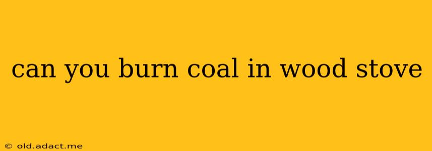 can you burn coal in wood stove