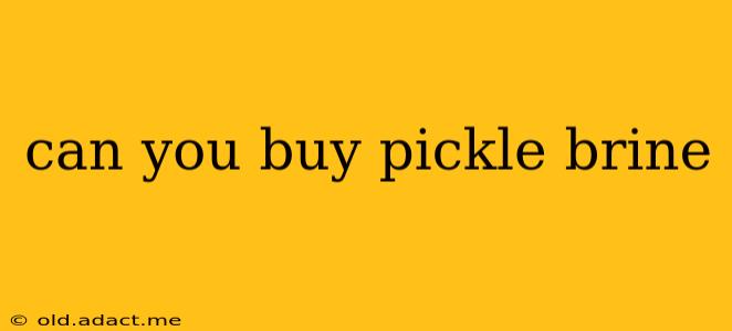 can you buy pickle brine