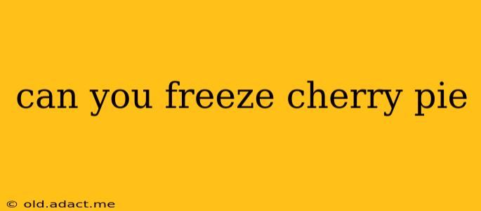 can you freeze cherry pie