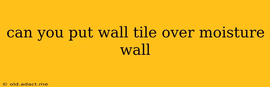 can you put wall tile over moisture wall