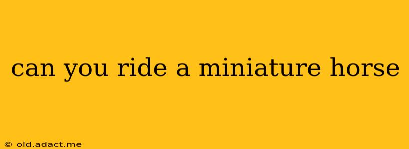 can you ride a miniature horse