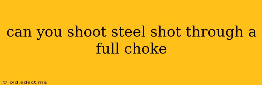 can you shoot steel shot through a full choke