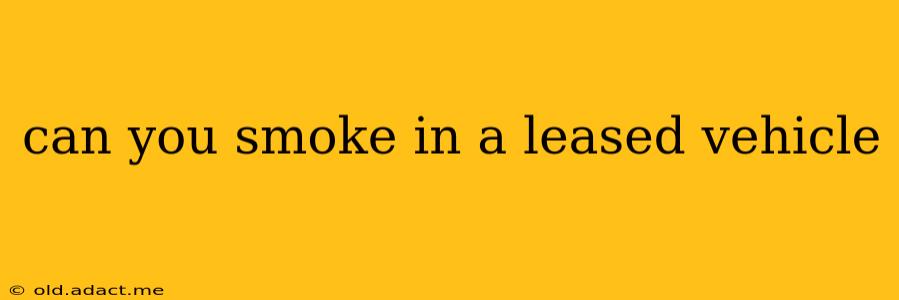 can you smoke in a leased vehicle