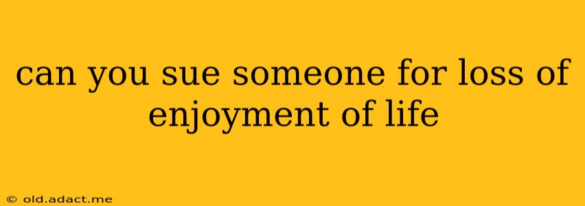 can you sue someone for loss of enjoyment of life