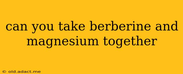 can you take berberine and magnesium together