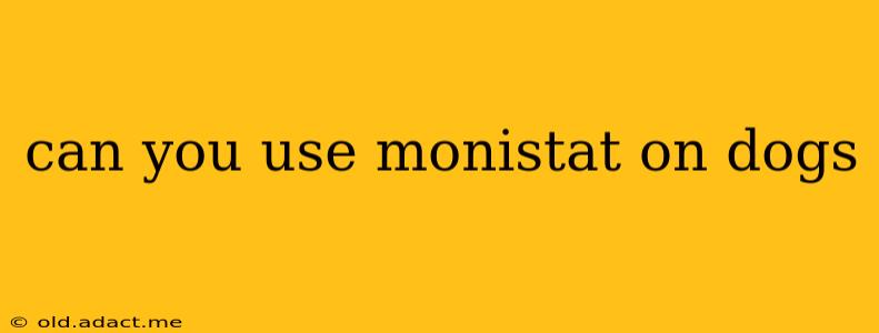 can you use monistat on dogs