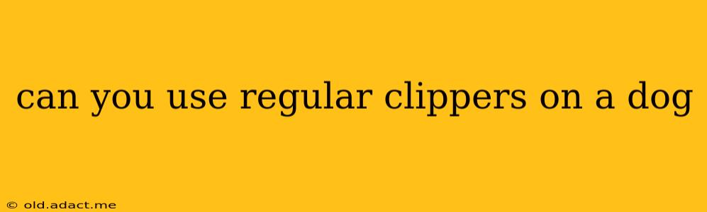 can you use regular clippers on a dog