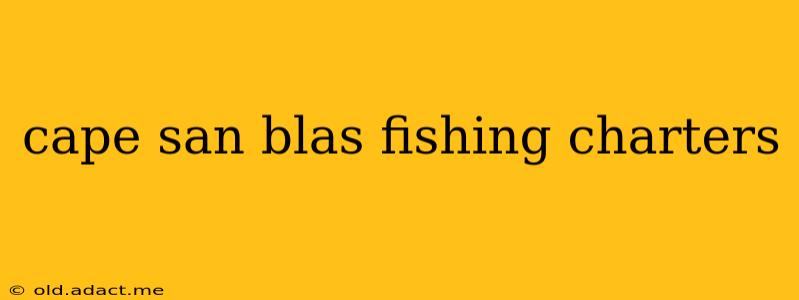 cape san blas fishing charters