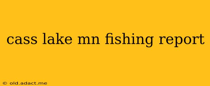 cass lake mn fishing report