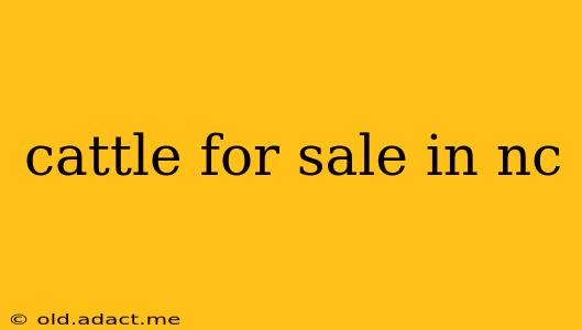 cattle for sale in nc