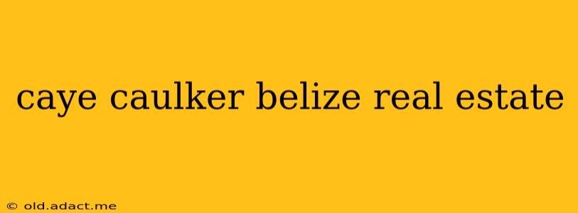 caye caulker belize real estate