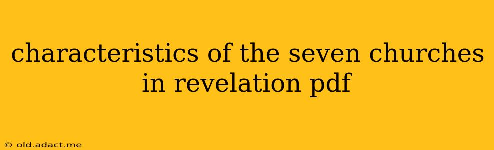 characteristics of the seven churches in revelation pdf