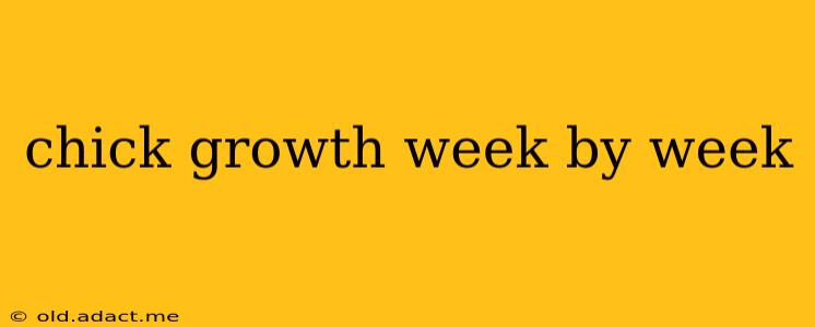 chick growth week by week