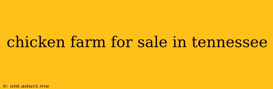 chicken farm for sale in tennessee