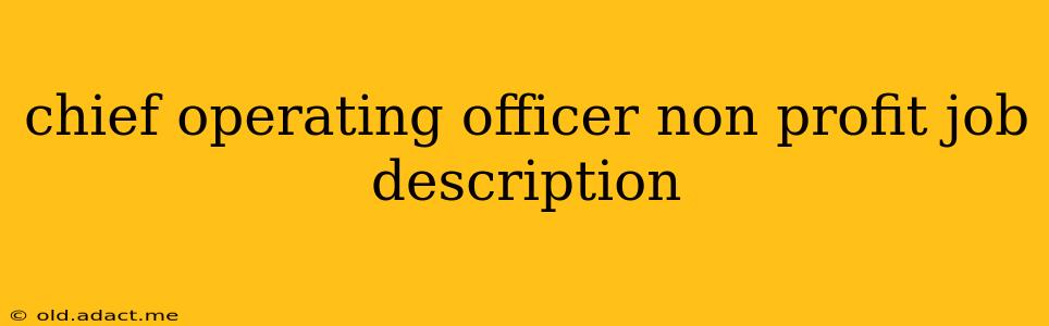 chief operating officer non profit job description