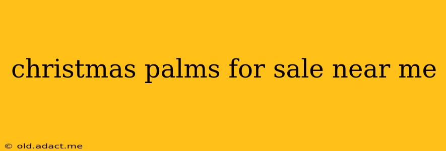 christmas palms for sale near me