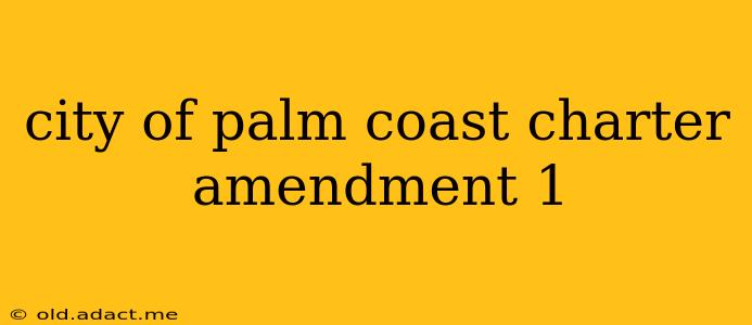 city of palm coast charter amendment 1