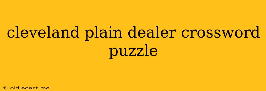 cleveland plain dealer crossword puzzle