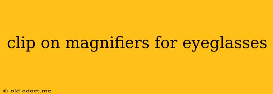 clip on magnifiers for eyeglasses