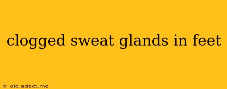 clogged sweat glands in feet