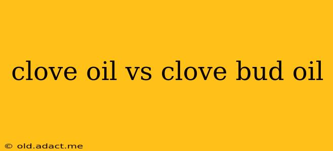 clove oil vs clove bud oil