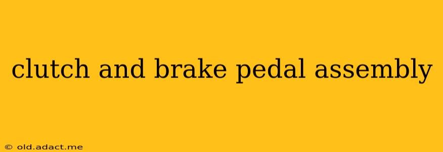 clutch and brake pedal assembly