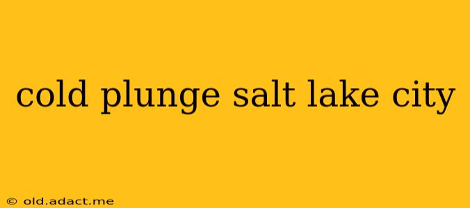 cold plunge salt lake city