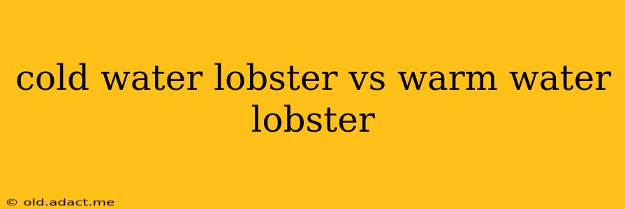 cold water lobster vs warm water lobster