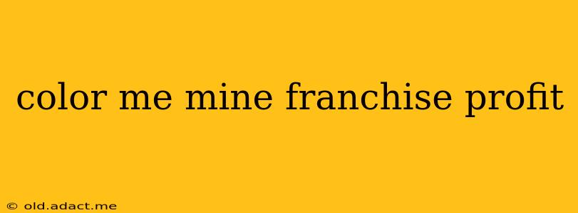 color me mine franchise profit