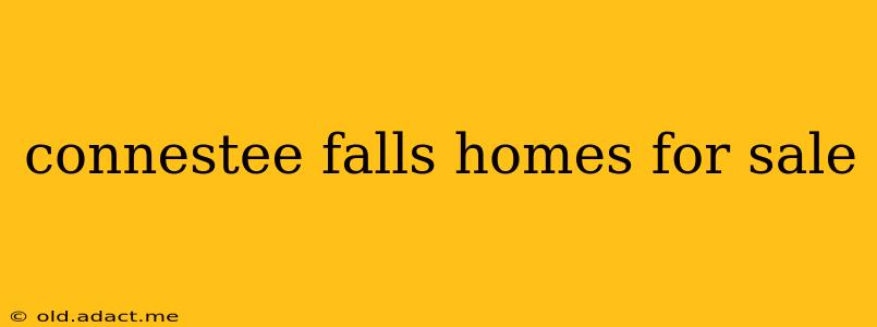 connestee falls homes for sale