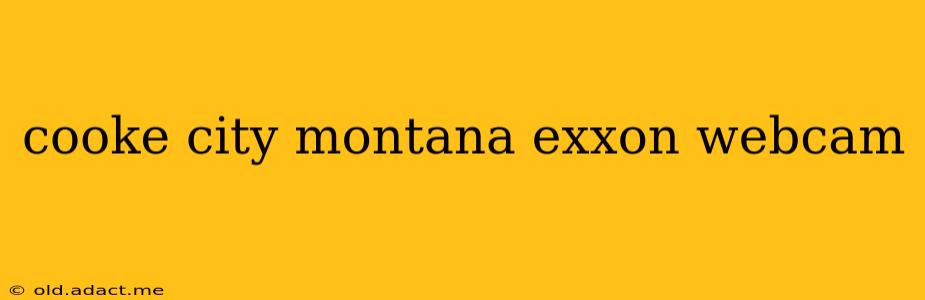 cooke city montana exxon webcam
