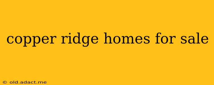 copper ridge homes for sale